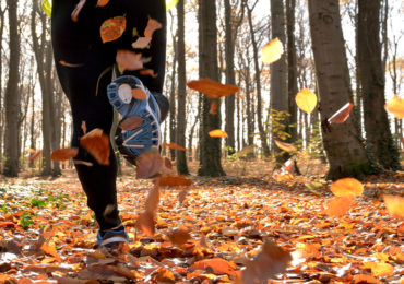 Fall Wellness Tips to Keep You Healthy and Happy